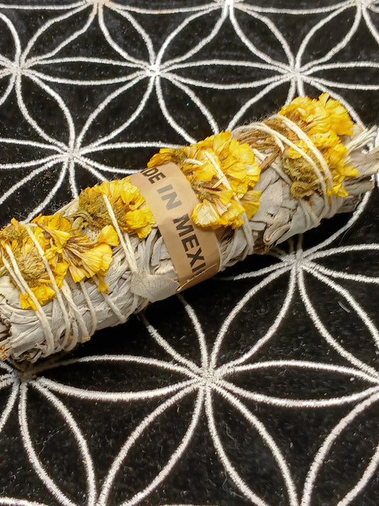 Yellow flower sage